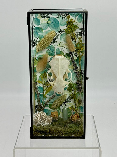 Mink Skull Box