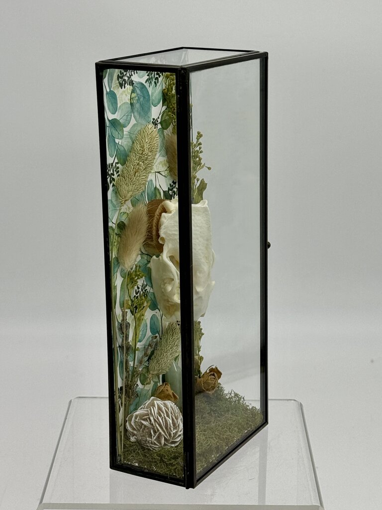 Mink Skull Box