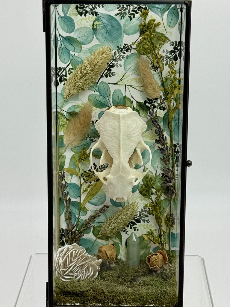 Mink Skull Box