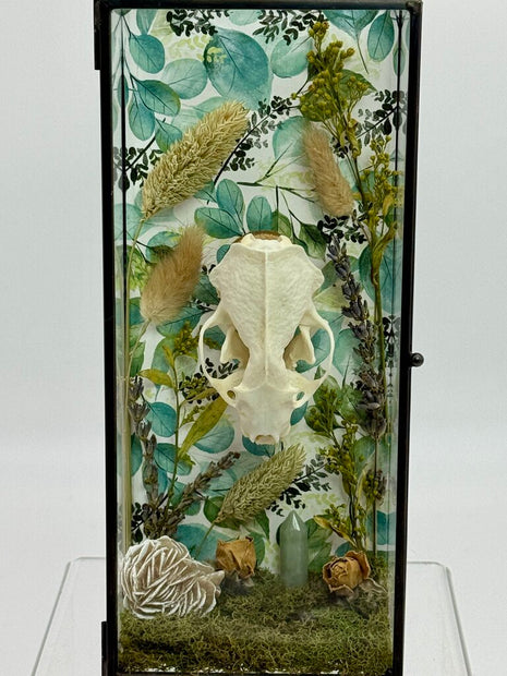 Mink Skull Box