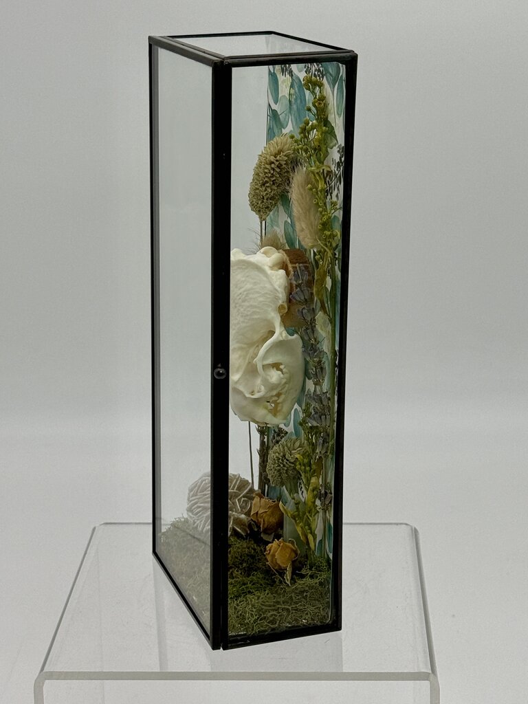 Mink Skull Box