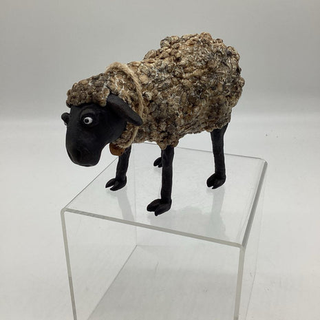Sheep gourd