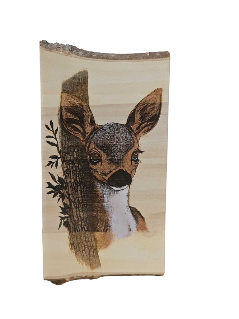Fawn