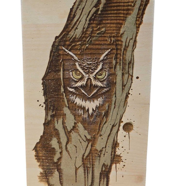 Med Owl in Tree