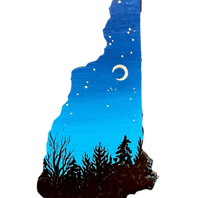 NH shaped magnet night scene
