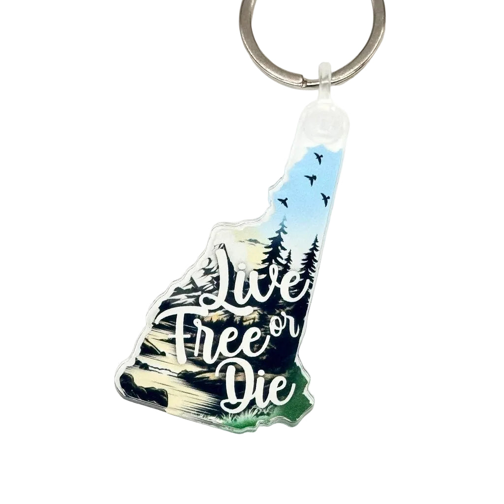 NH shaped keychains
