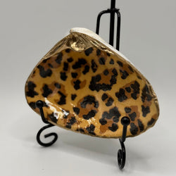 Cheetah Print Clam Dish ( Newport, RI) - view 2