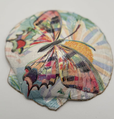 Colorful Butterfly XL Deep Sea Scallop (Nova Scotia)
