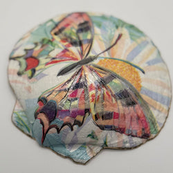 Colorful Butterfly XL Deep Sea Scallop (Nova Scotia) - view 1