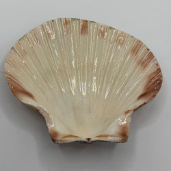 Red White & Blue Sandals Scallop Shell (NC) - view 2
