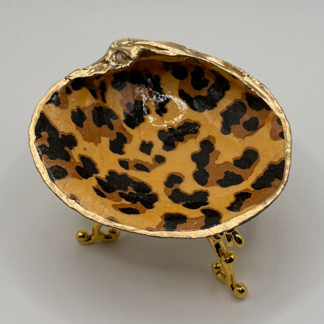 Cheetah SM Quahog (Nahant, MA)