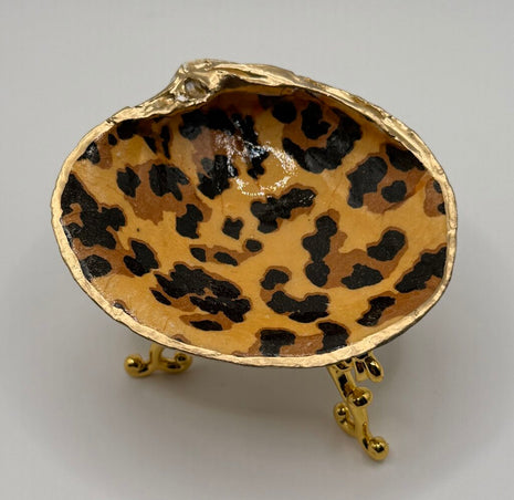 Cheetah SM Quahog (Nahant, MA)