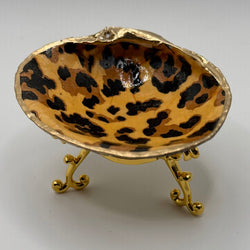 Cheetah SM Quahog (Nahant, MA) - view 2