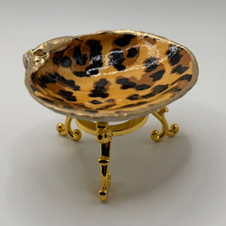 Cheetah SM Quahog (Nahant, MA) - view 3