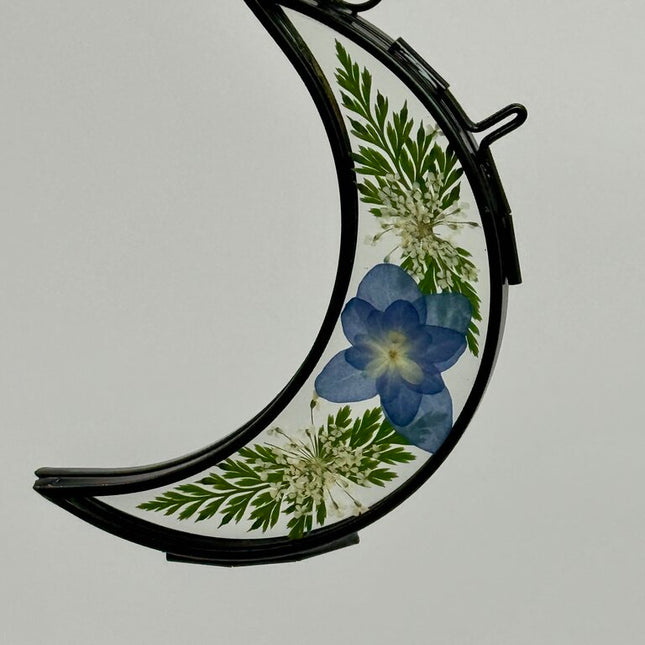 Small Moon w/ Blue Hydrangea