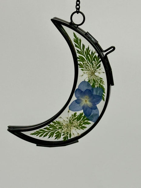 Small Moon w/ Blue Hydrangea