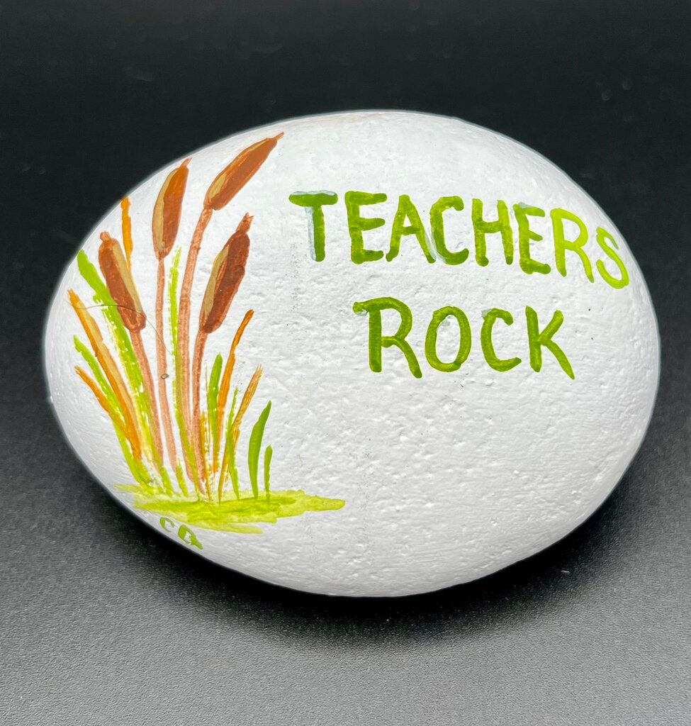 Rock sm wh "Teachers Rock"