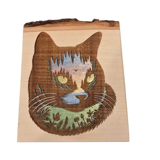 Midnight Cat