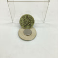 Forest Magnet
