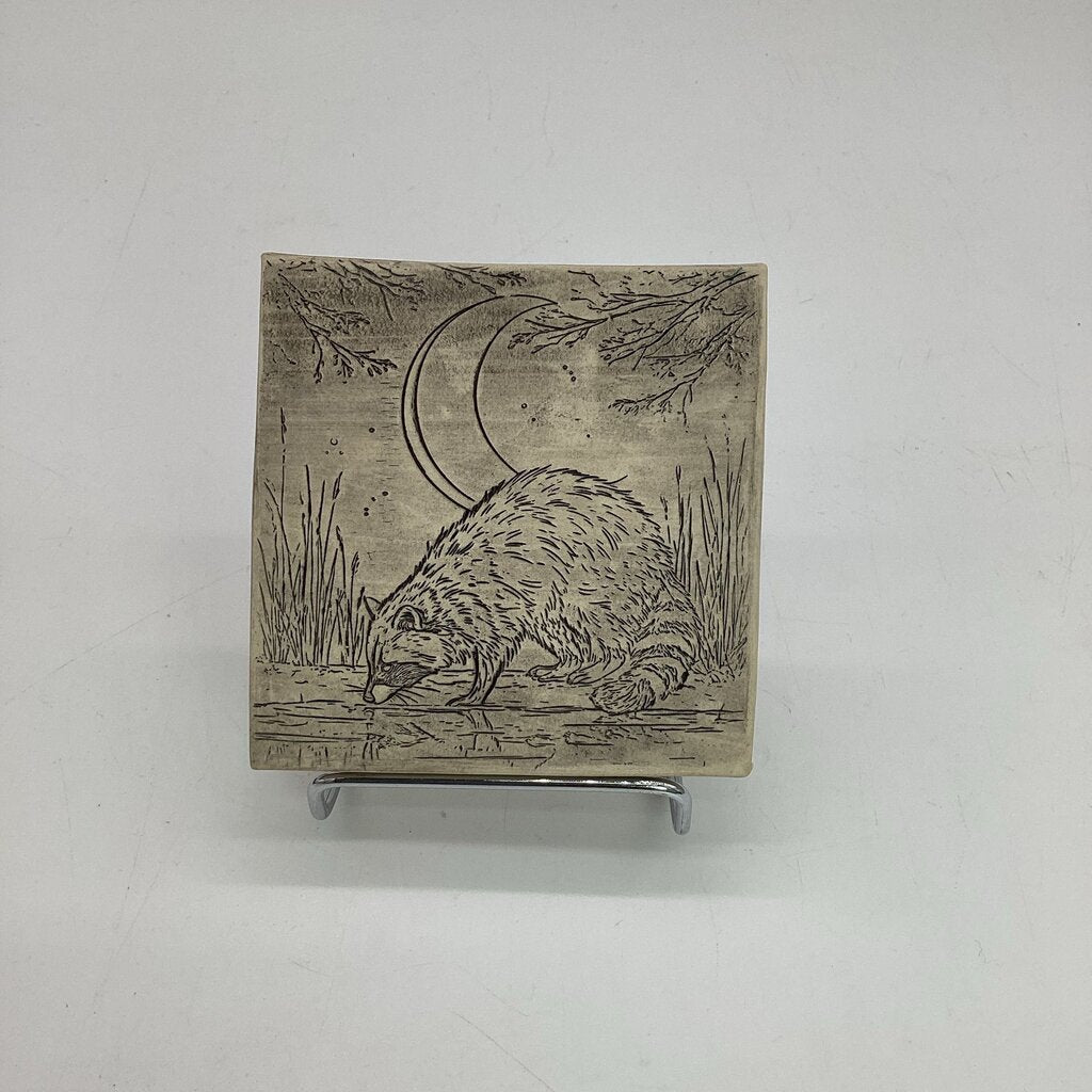 Racoon Coaster