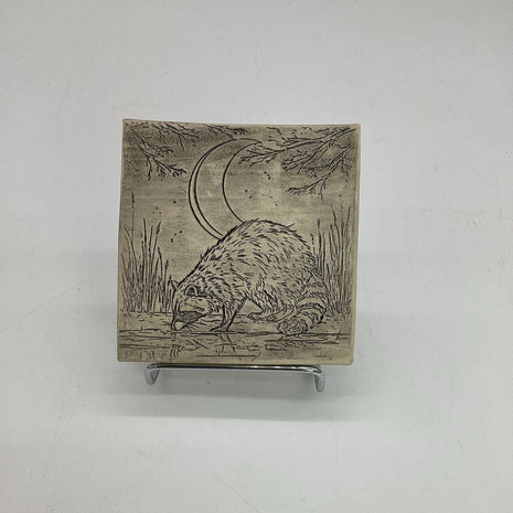 Racoon Coaster