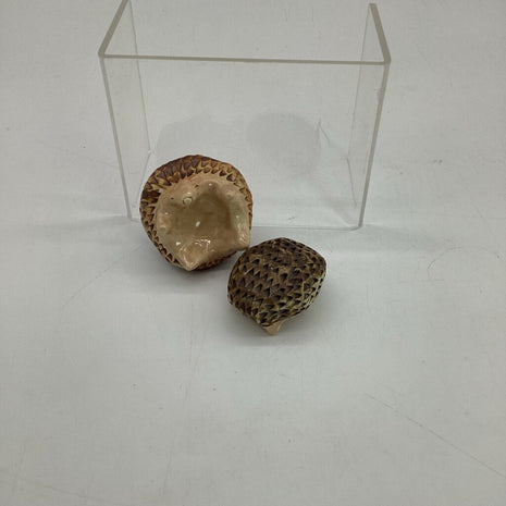 Hedgehog