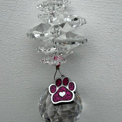 PAW PRINT OCTAGON PINK - view 1