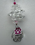 PAW PRINT OCTAGON PINK
