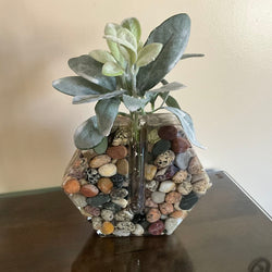 Resin-Propagation-Hexigon - view 2