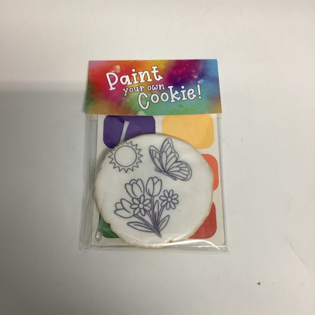 Spring Paint Your Own Cookie