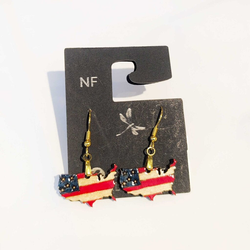 USA Flag and Map shape Earrings