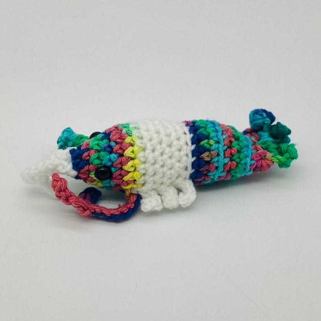 Rainbow and White Lobster