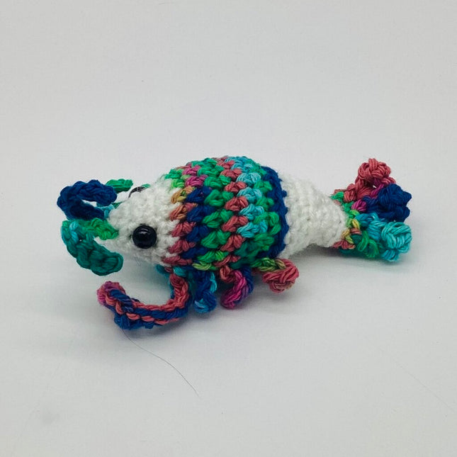 White and Rainbow Lobster