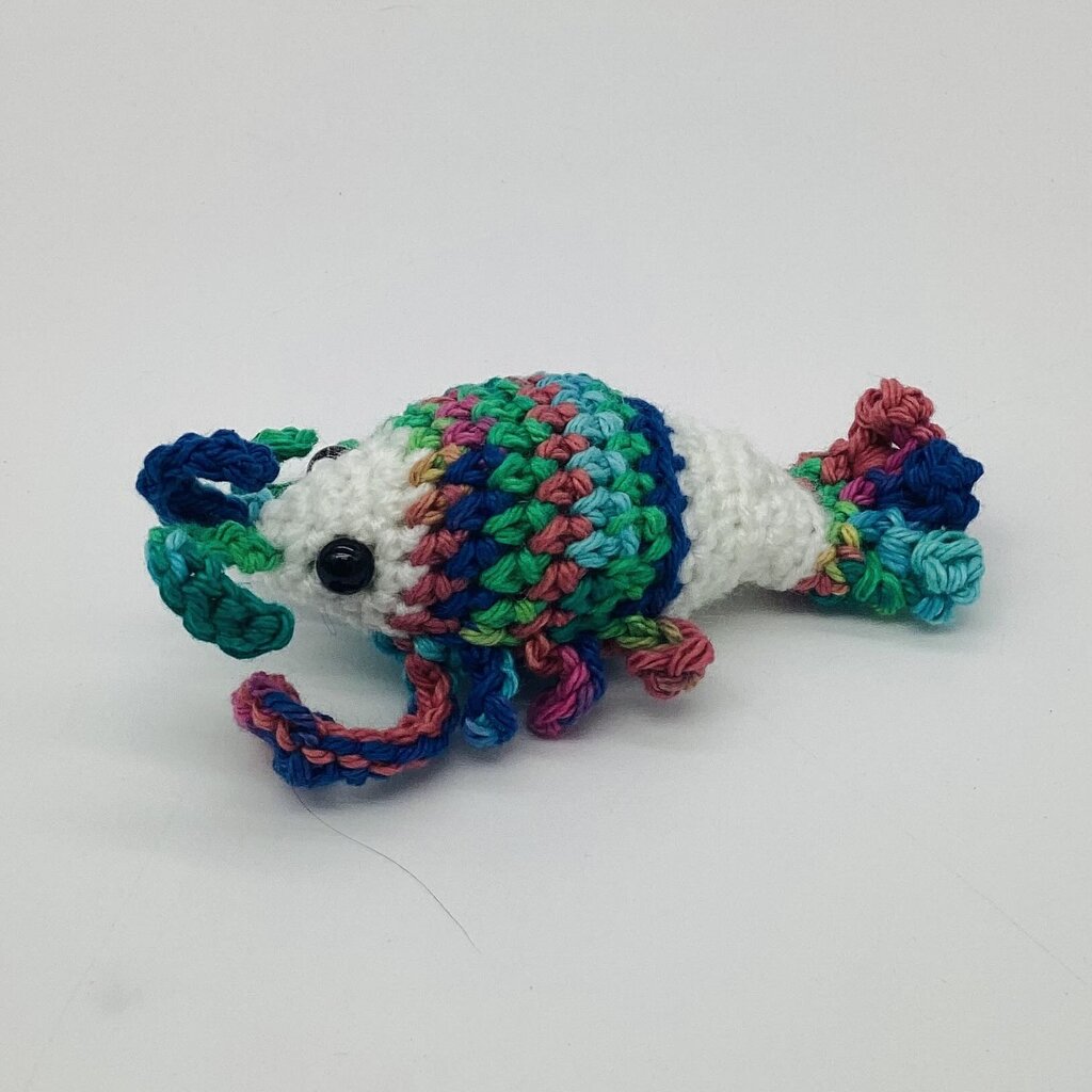 White and Rainbow Lobster