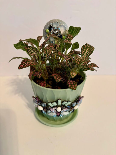 4 IN PLANT in SAGE PLANTER w/stake decorated w/jewelry