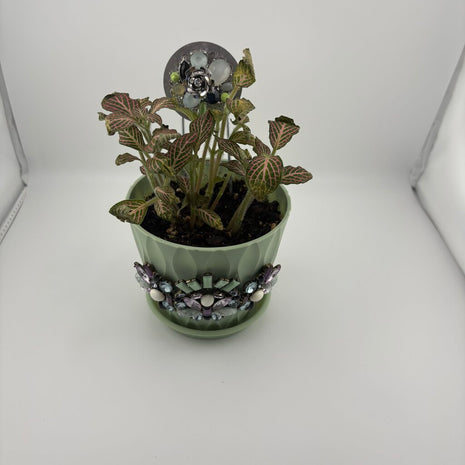 4 IN PLANT in SAGE PLANTER w/stake decorated w/jewelry