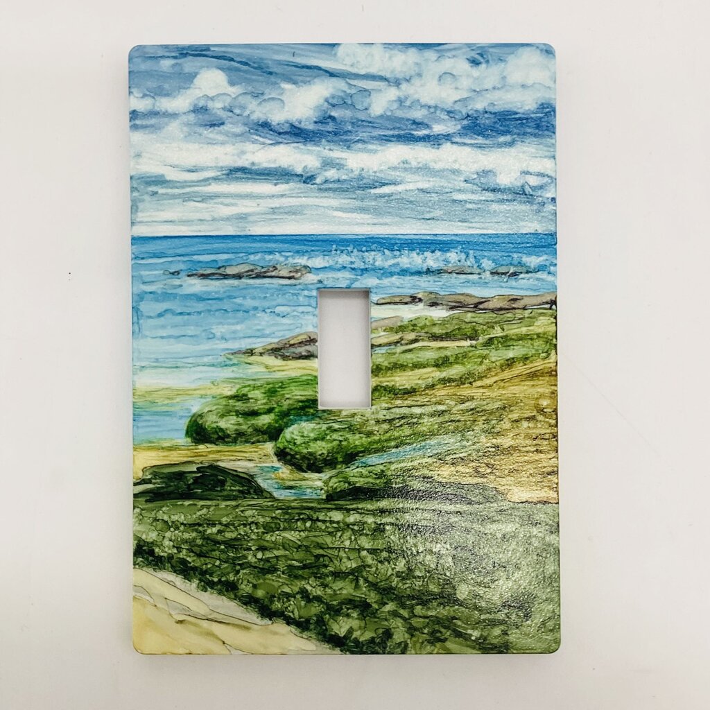 3x5 LightSwitch Plate- Sky Reflection w/Seagrass