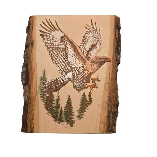 Soaring Hawk
