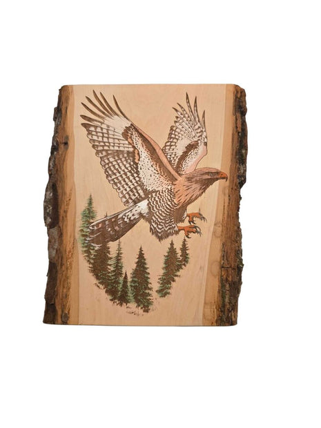 Soaring Hawk