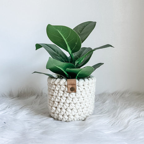 Faux Ficus Plant in Crochet Plant Cozy