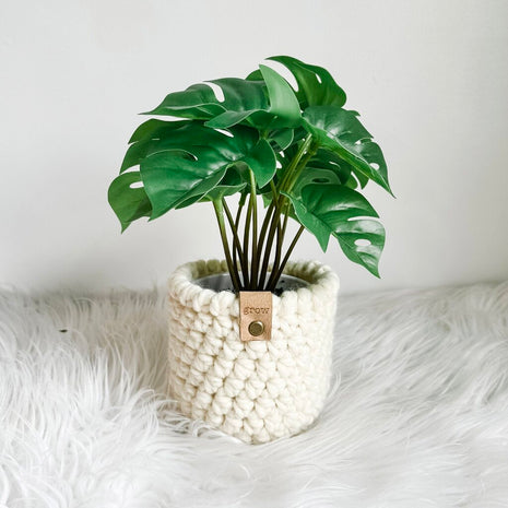 Faux Monstera Plant In Crochet Plant Cozy