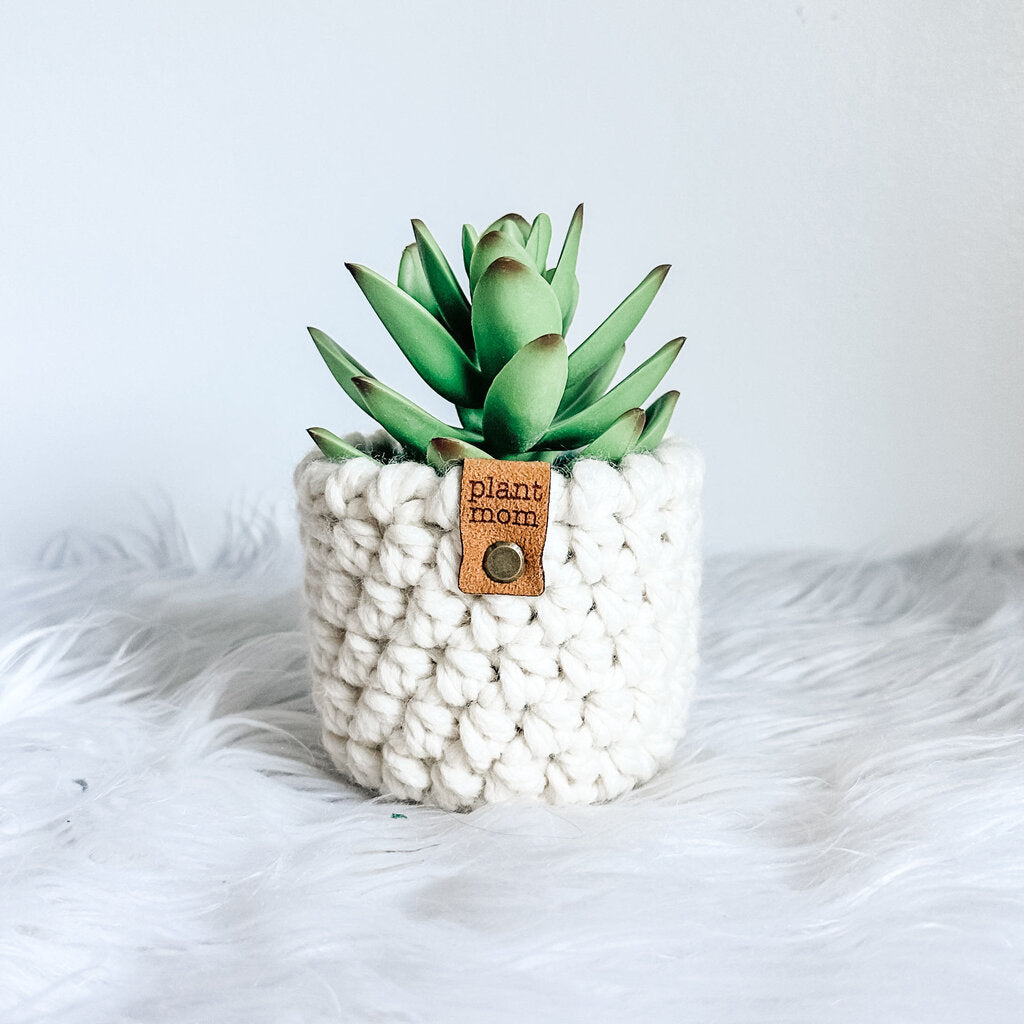 Faux Succulent With Handmade Crochet Plant Cozy (Style A1)