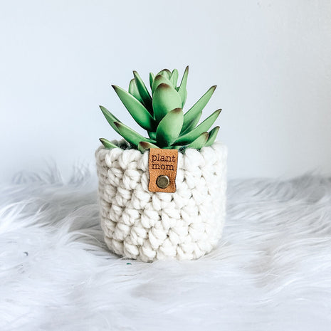 Faux Succulent With Handmade Crochet Plant Cozy (Style A1)
