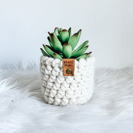 Faux Succulent With Handmade Crochet Plant Cozy (Style A2)