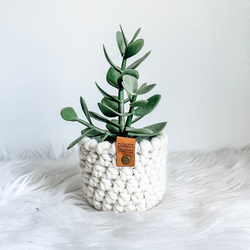 Faux Succulent With Handmade Crochet Plant Cozy (Style B1)