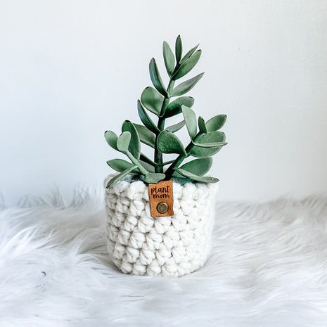 Faux Succulent With Handmade Crochet Plant Cozy (Style B2)