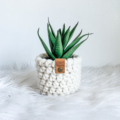 Faux Succulent With Handmade Crochet Plant Cozy (Style C1)
