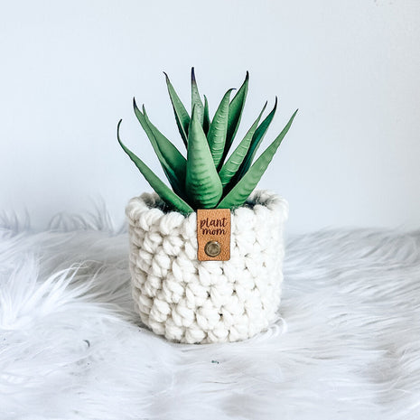 Faux Succulent With Handmade Crochet Plant Cozy (Style C2)