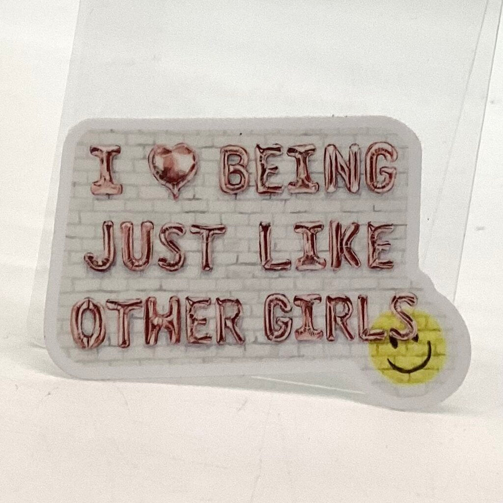 Other Girls Feminist Vinyl Sticker