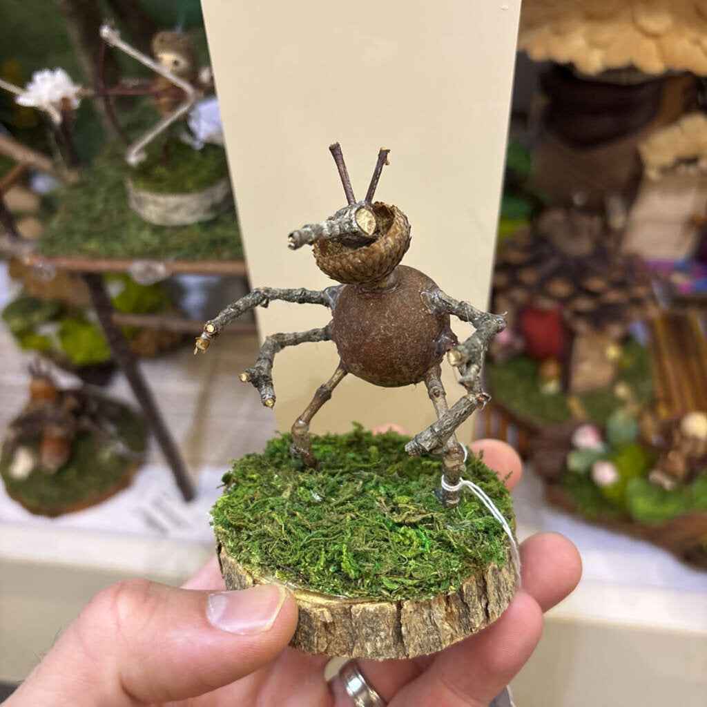 Assassin Bug